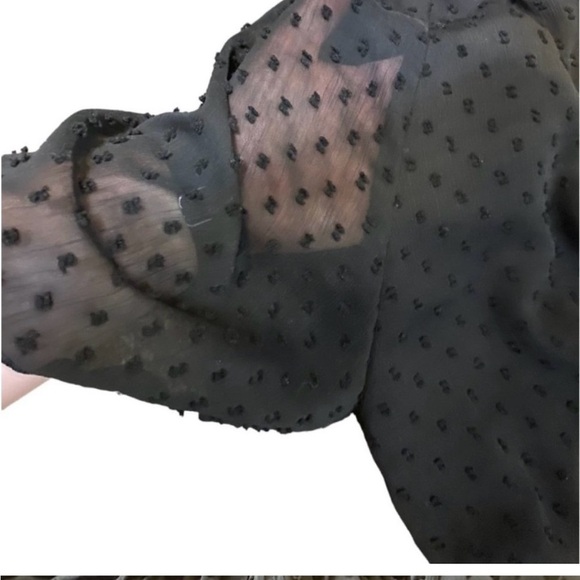 Zara Swiss Dot, Neck Ruffled, Sheer Sleeve, Mini Short Dress, Black, Size M - Picture 5 of 9